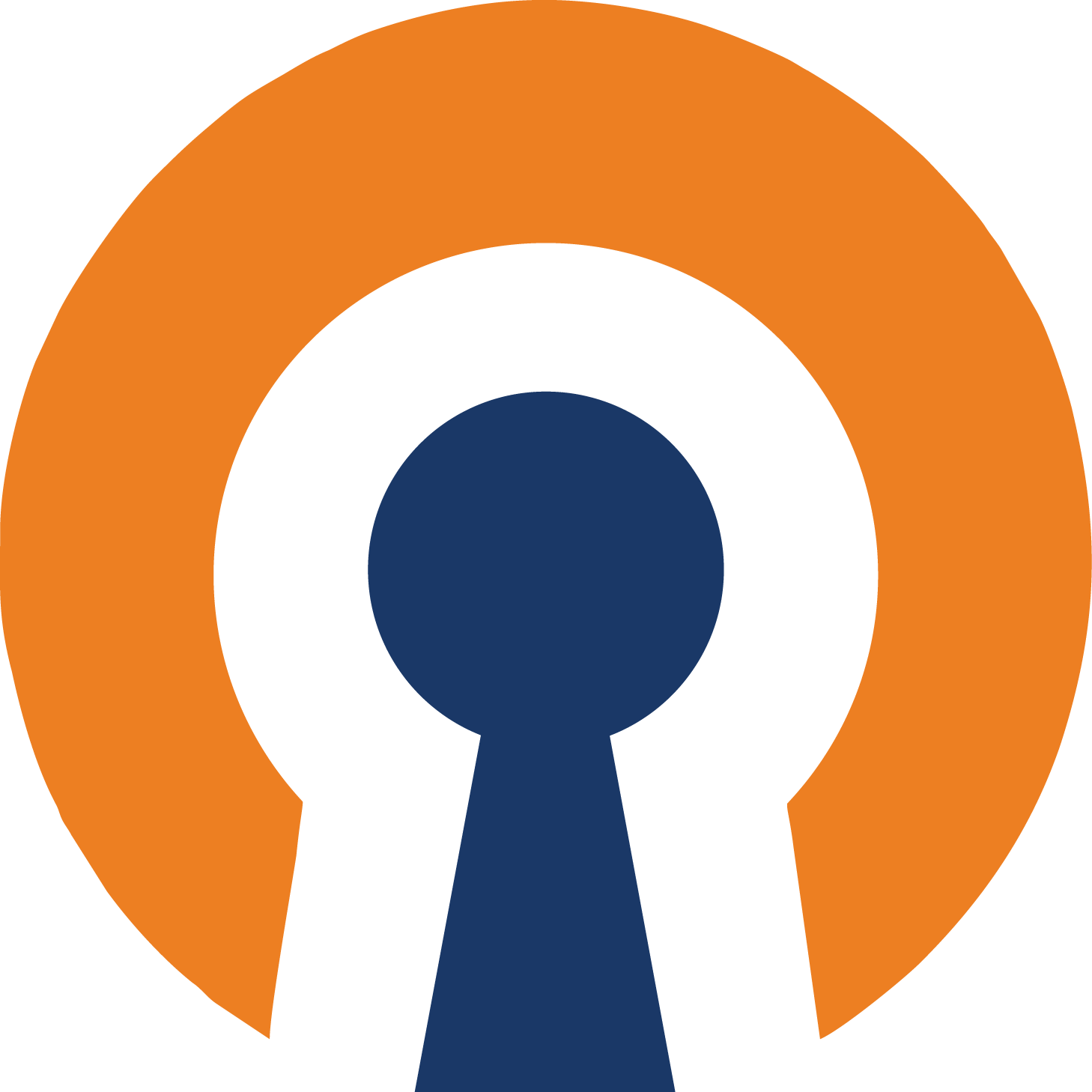 logo OpenVPN